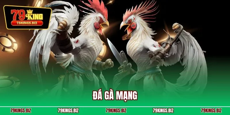 Đá gà mạng