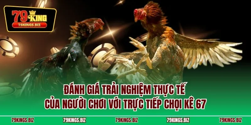 Đánh giá trải nghiệm thực tế của người chơi với trực tiếp chọi kê 67