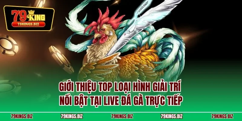 Giới thiệu top loại hình giải trí nổi bật tại live đá gà trực tiếp