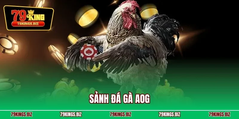 Sảnh đá gà AOG