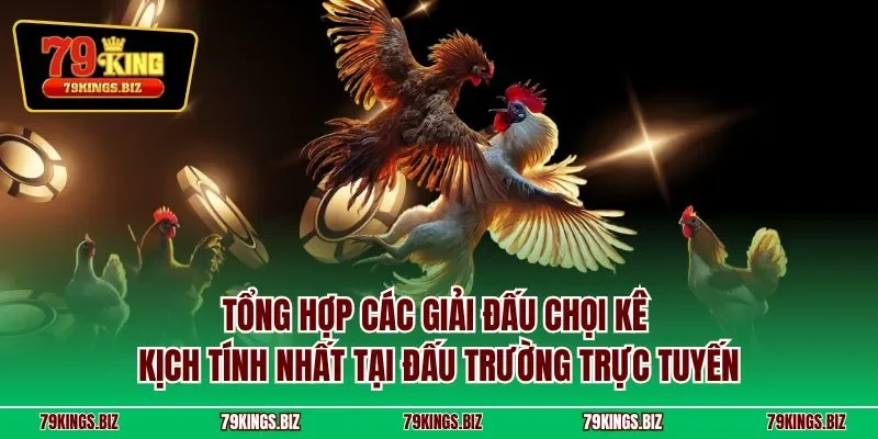 Tổng hợp các giải đấu chọi kê kịch tính nhất tại đấu trường trực tuyến