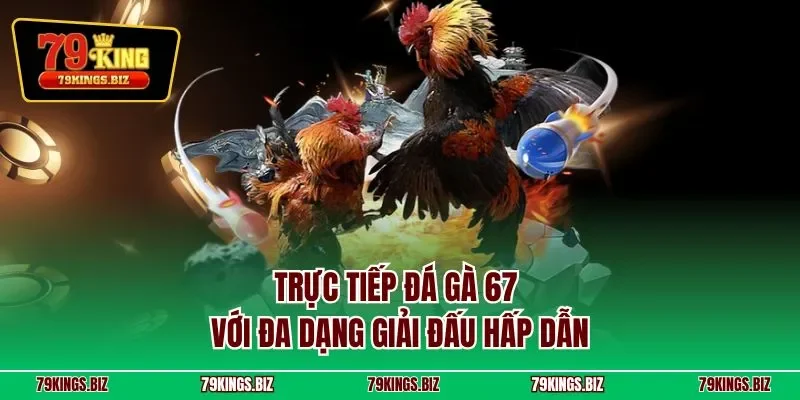 Trực tiếp đá gà 67 với đa dạng giải đấu hấp dẫn