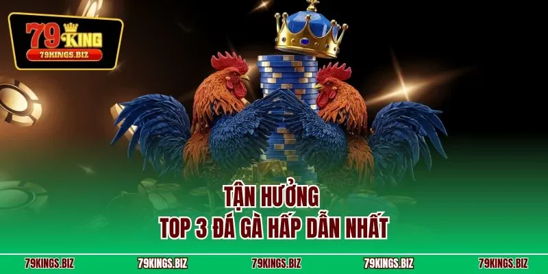 Tận hưởng top 3 đá gà hấp dẫn nhất