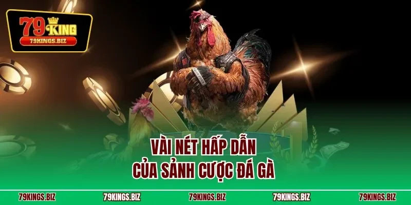 Vài nét hấp dẫn của sảnh cược đá gà 